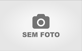 Dama da noite 